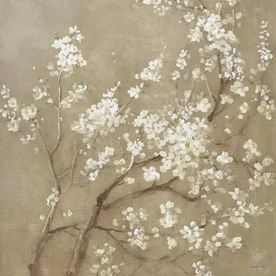 White Cherry Blossoms I Canvas Wall Art by Danhui Nai iCanvas