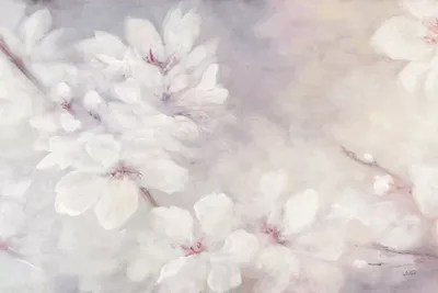 Cherry Blossoms Canvas Art Print by Julia Purinton iCanvas