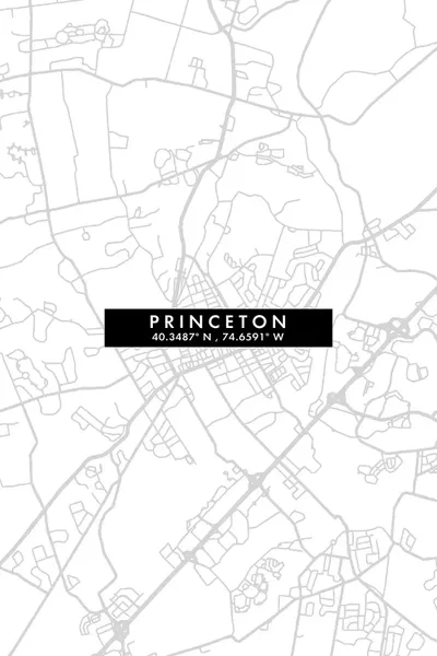 Princeton, New Jersey City Map Mi Canvas Art Print WallDecorAddict