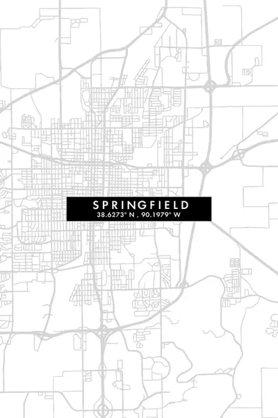 Springfield, Illinois City Map Mini Canvas Artwork WallDecorAddict