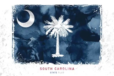 South Carolina Canvas Artwork by WallDecorAddict iCanvas