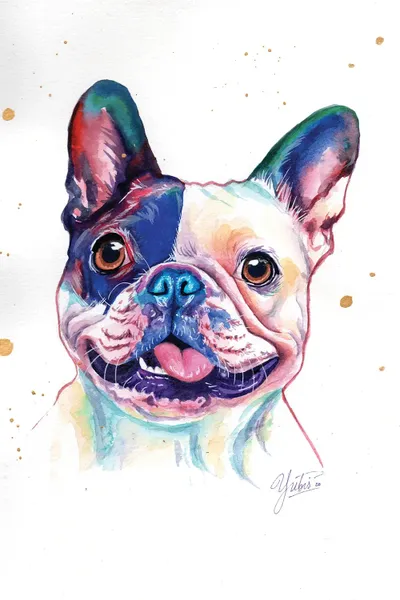 Funny French Bulldog Canvas Wall Art by Yubis Guzman iCanvas