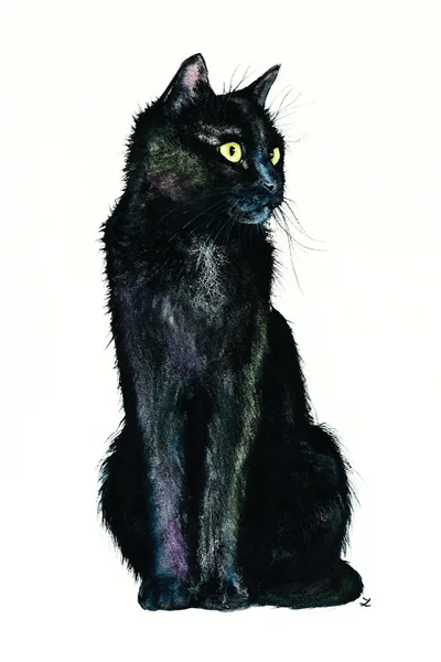 Shades Of The Black Cat Canvas Art by Zaira Dzhaubaeva iCanvas