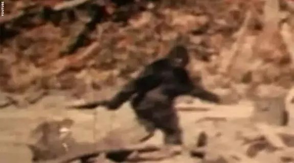Patterson Bigfoot Film Enhanced Coast to Coast AM