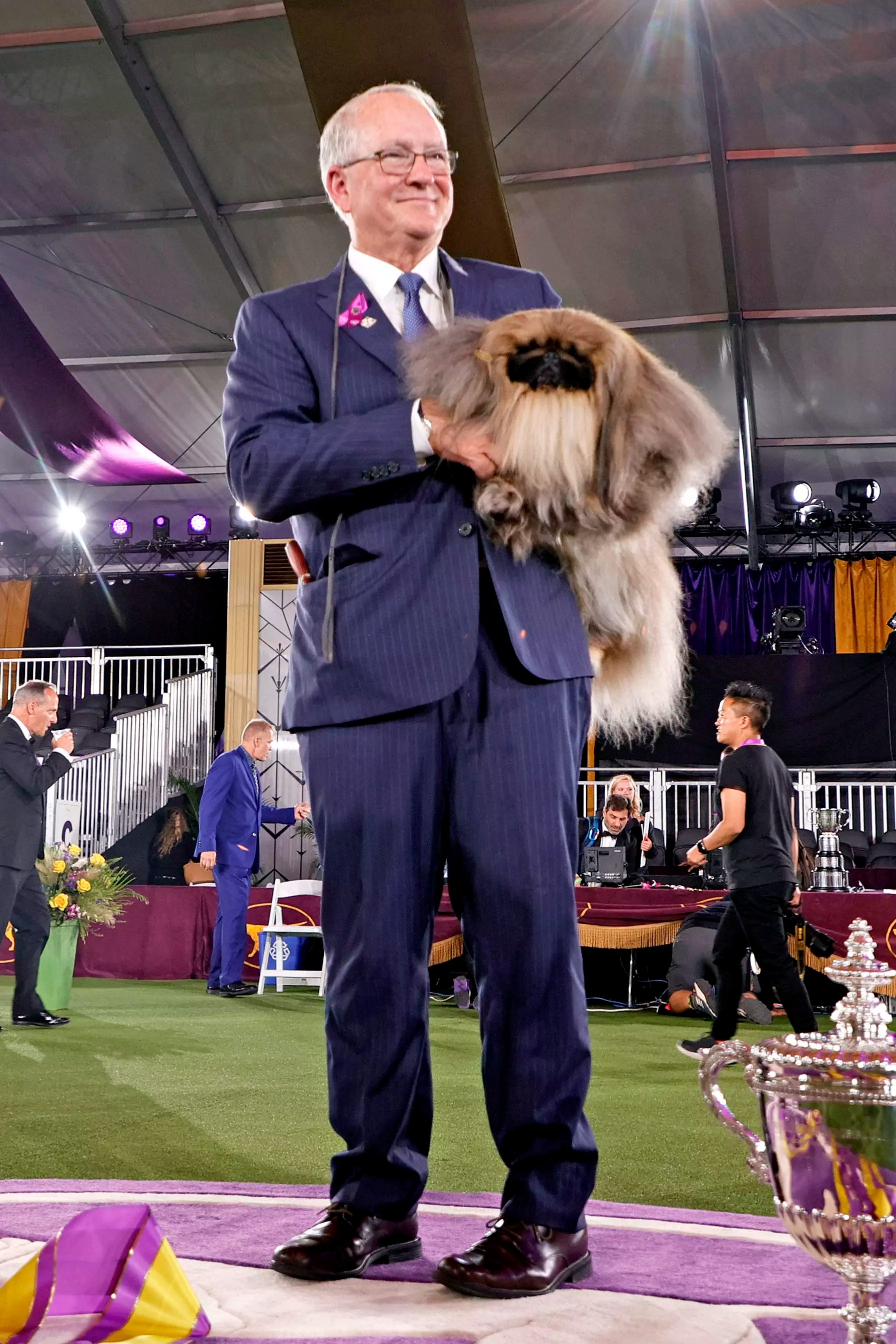 Meet WASABI, the newst Westminster Dog Show champ! And he's cute