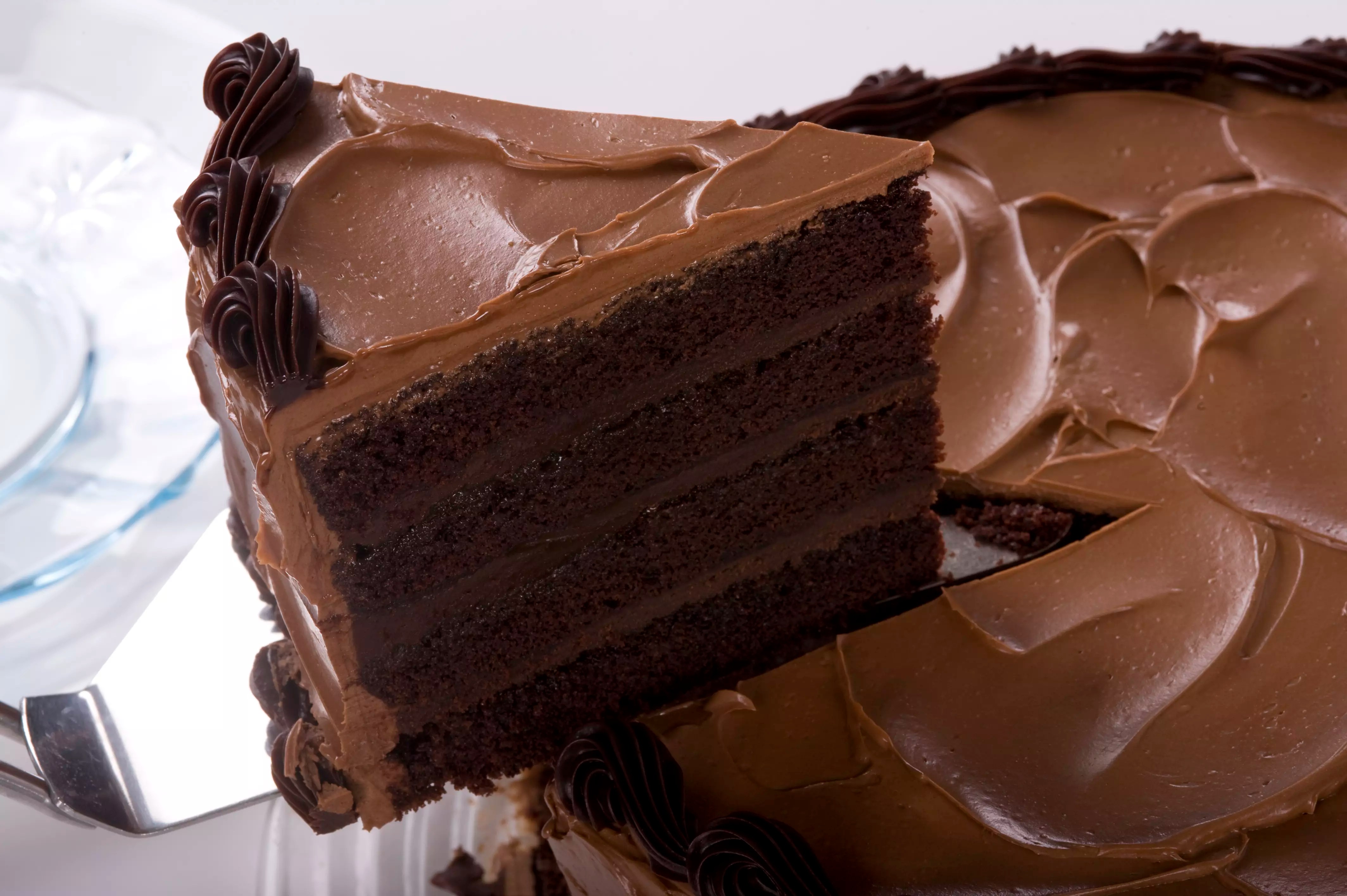 This Is Florida's Best Chocolate Cake iHeart