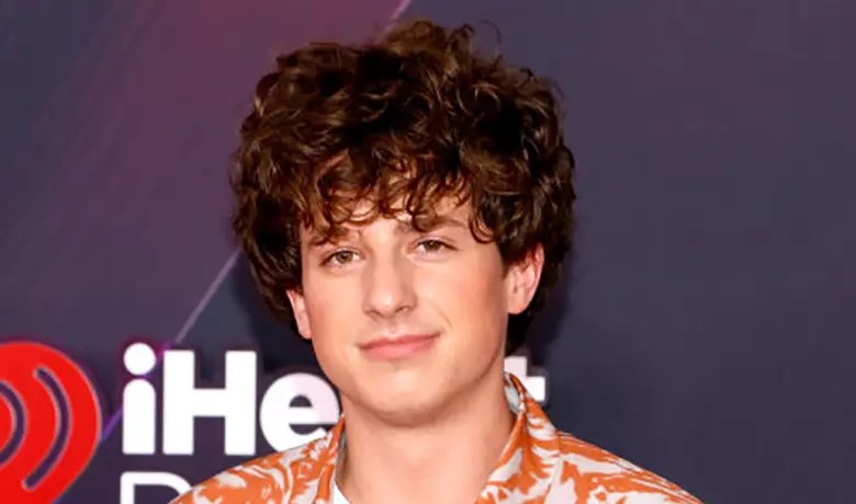 The Best Tweets About Charlie Puth's Hair iHeart