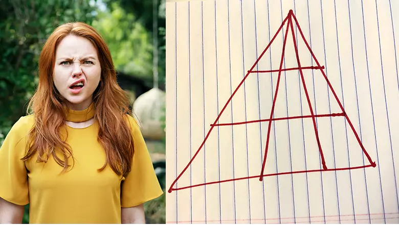 Triangle Brain Teaser Has Everyone Coming Up With A Different Answer