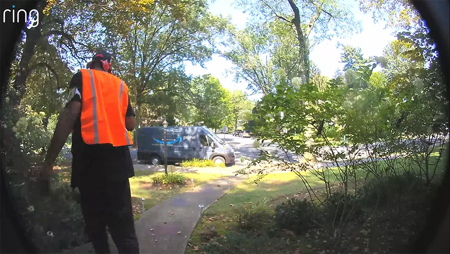 Amazon Driver Accidentally Throws Package On Roof While Swatting Bug