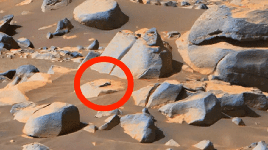 'Alien' Filmed By Mars Rover Called '100 Proof Of Intelligent Life