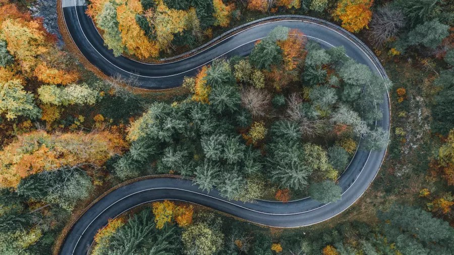 This Is The Most Dangerous Road In South Carolina iHeart