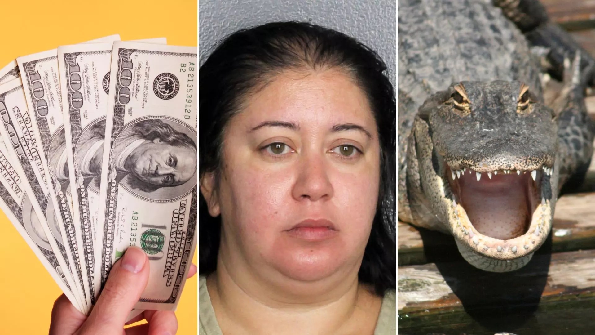 Weirdest Events August 2023 In Florida
