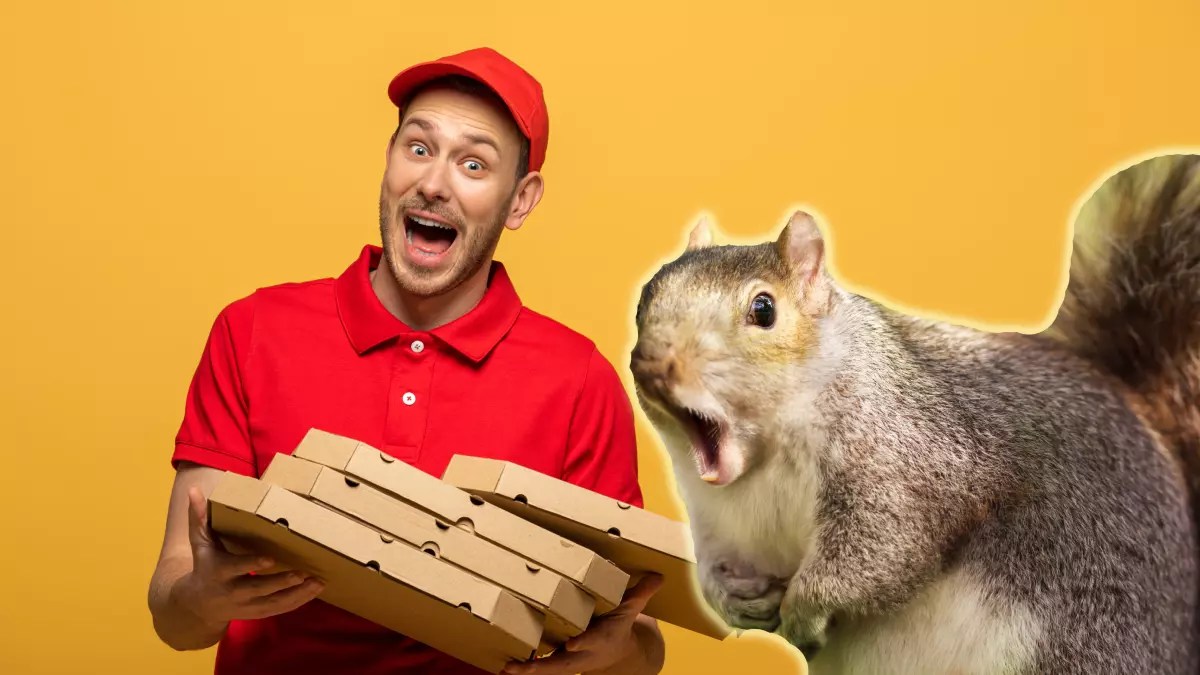 Mischievous Squirrel Hilariously Halts Pizza Delivery At Louisiana Home
