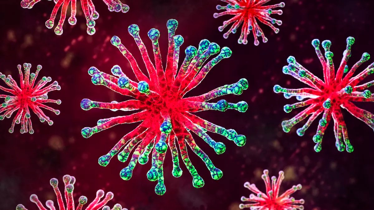 New Virus Discovered In US Raises Pandemic Fears iHeart