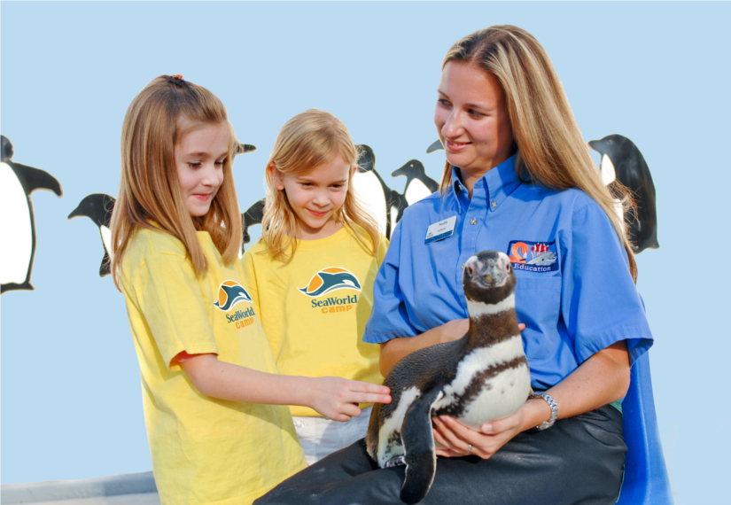 Guests Can "Make a Splash" at SeaWorld's Summer Camp Orlando Theme