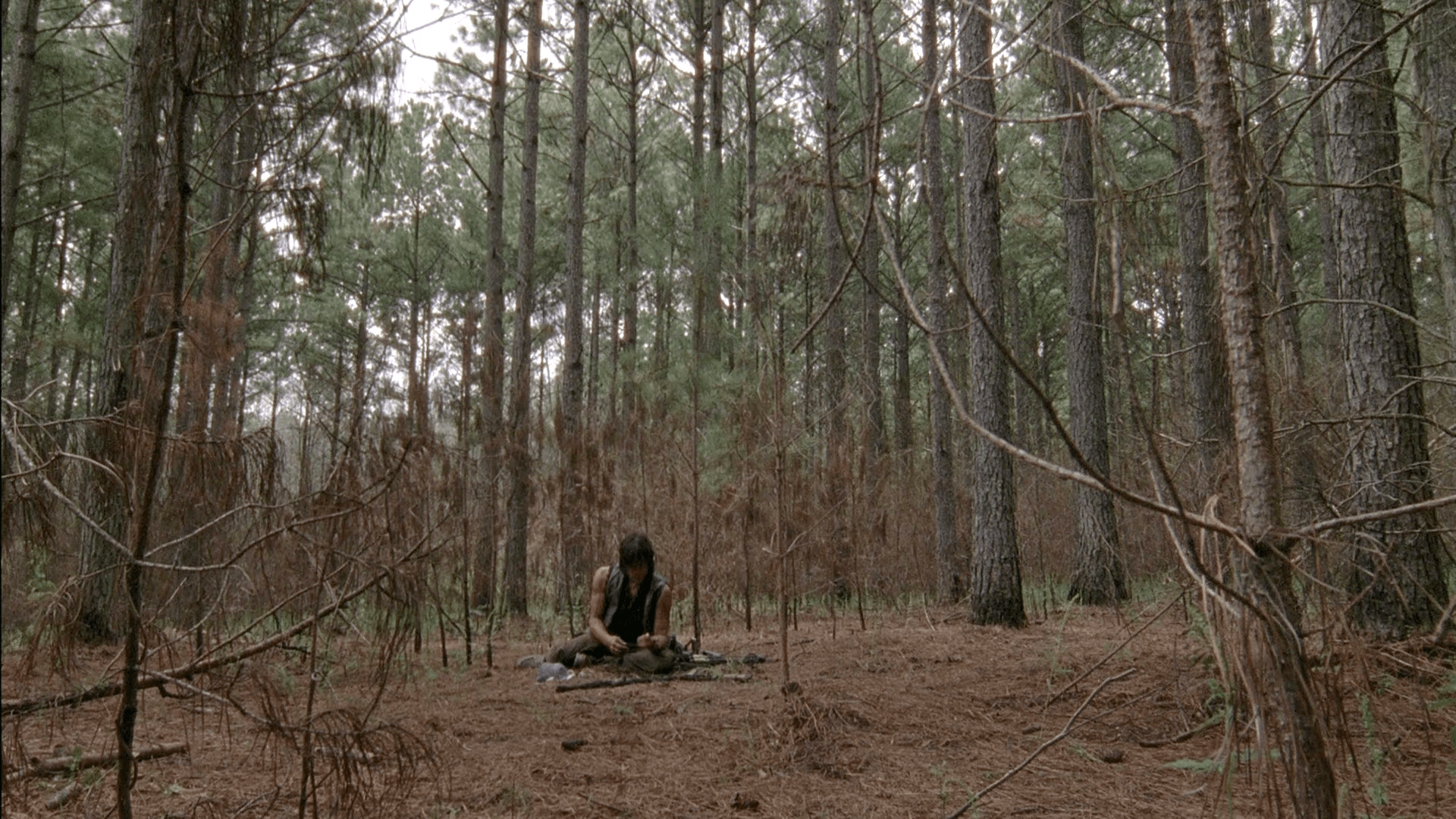 Download The Walking Dead Season 5 S05 1080p BluRay x264ROVERS [RiCK