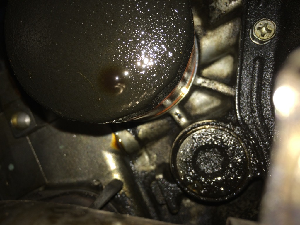 06 Outback 2.5 Oil leak... Head gasket? what are my options? Subaru