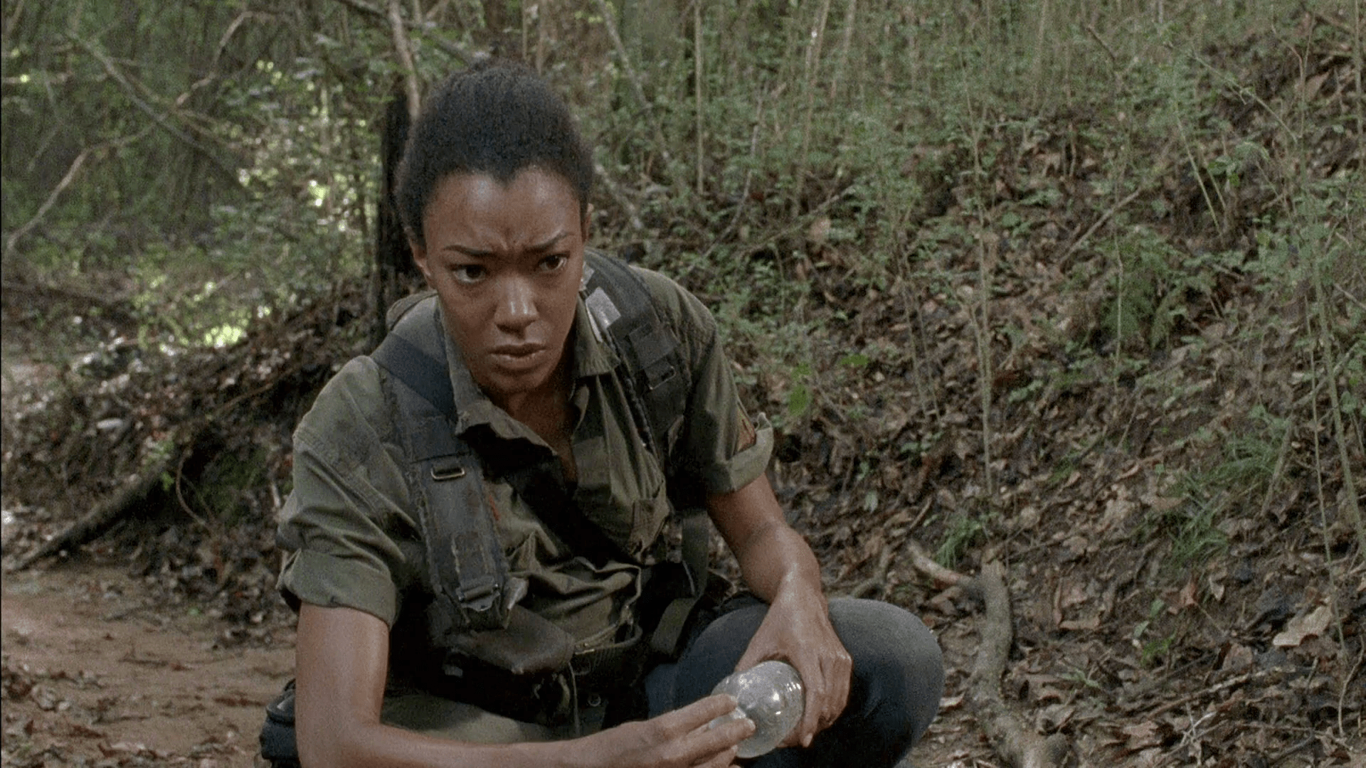 Download The Walking Dead Season 5 S05 1080p BluRay x264ROVERS [RiCK