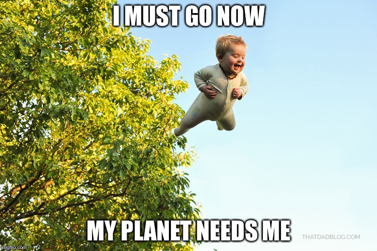 Fly baby, fly! Imgflip