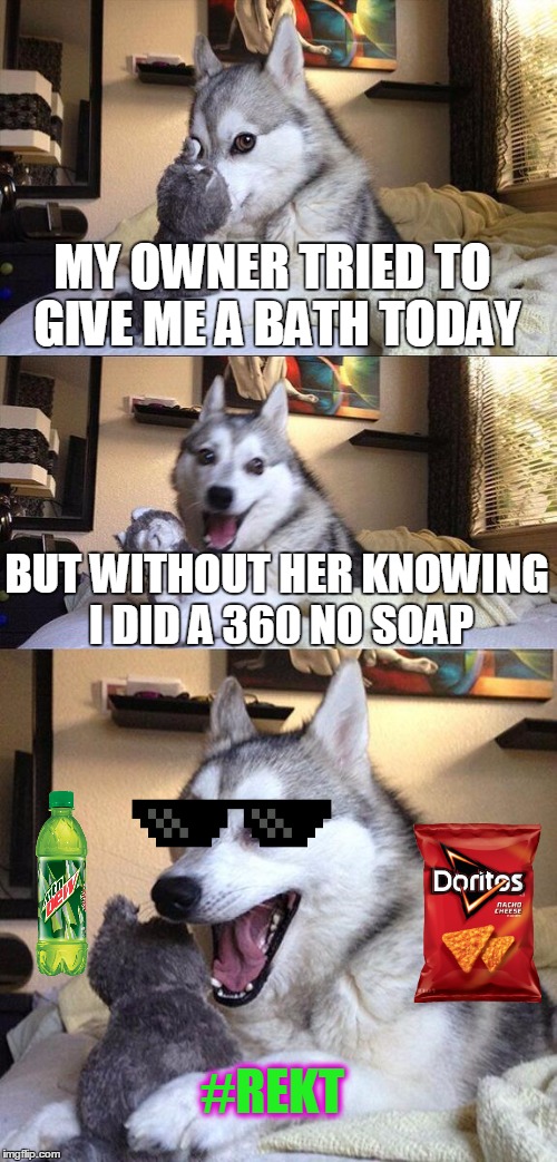 Bad Pun Dog Meme Imgflip