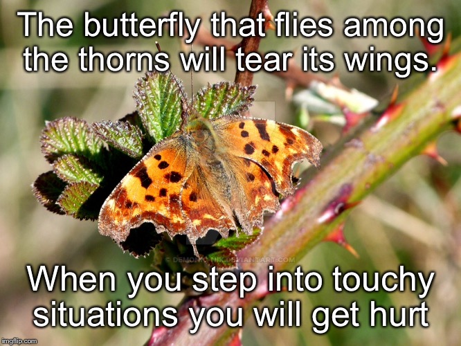 Is This Butterfly Meme Generator / Rainbow unicorn butterfly kitten