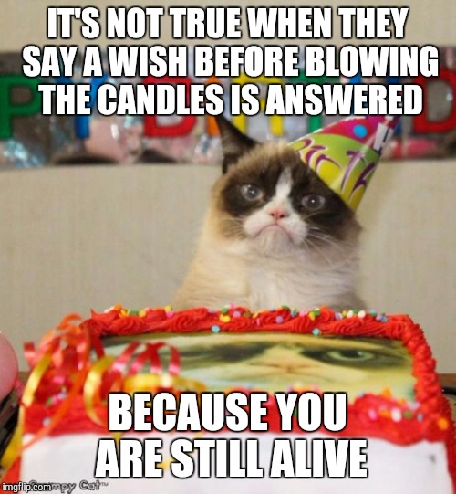 Grumpy Cat Birthday Meme Imgflip