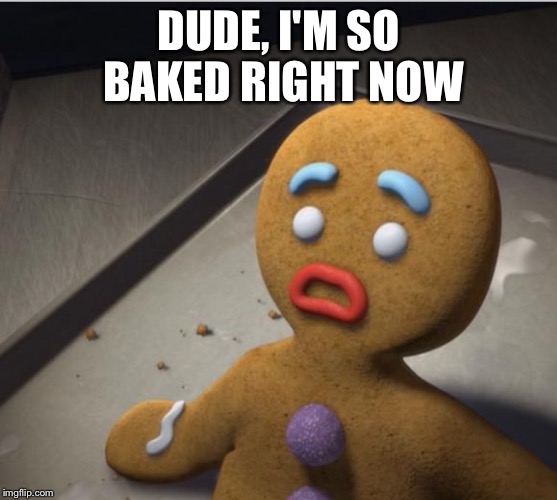 Gingerbread 10 Guy Imgflip