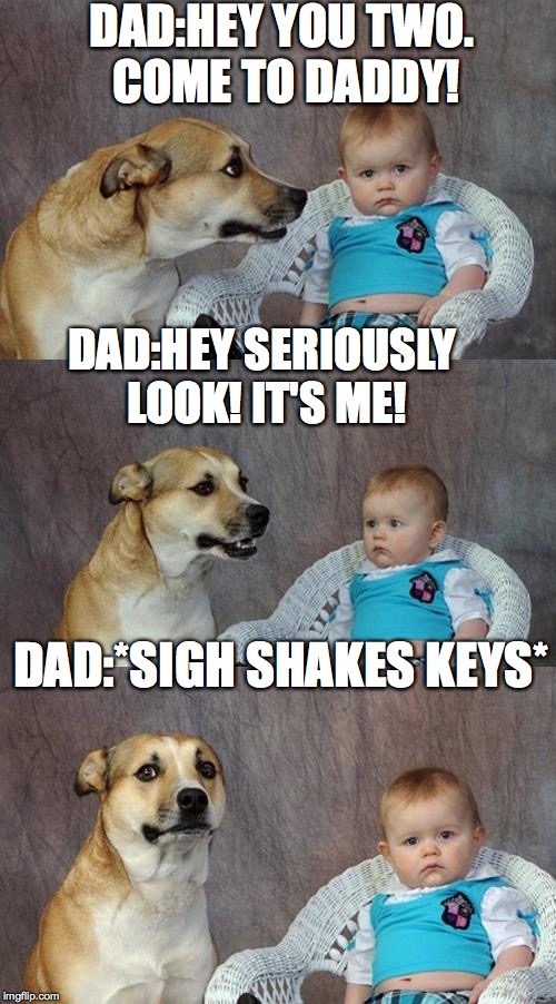 Dad Joke Dog Meme Imgflip