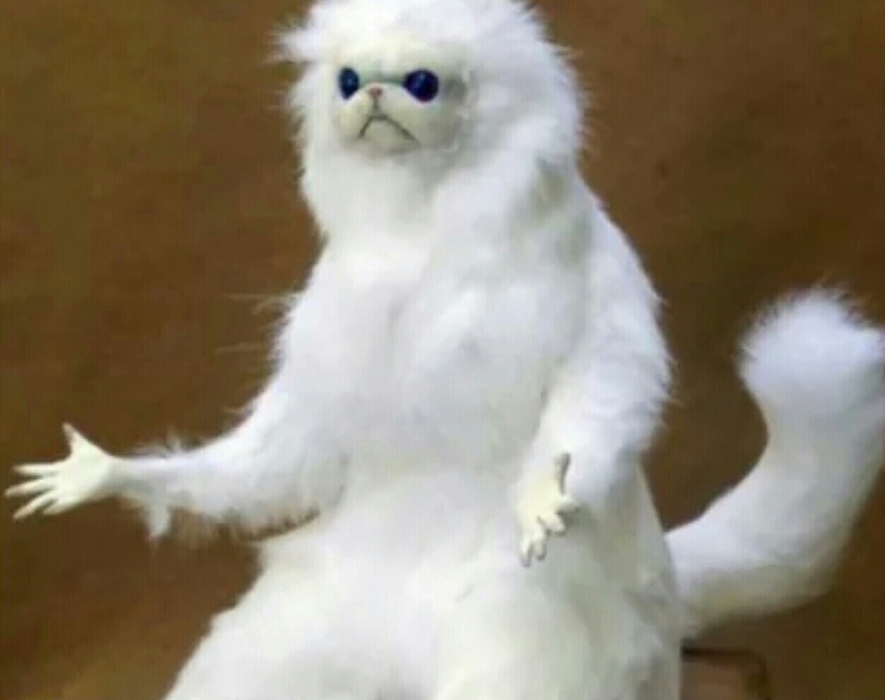 Meme Template Search Imgflip