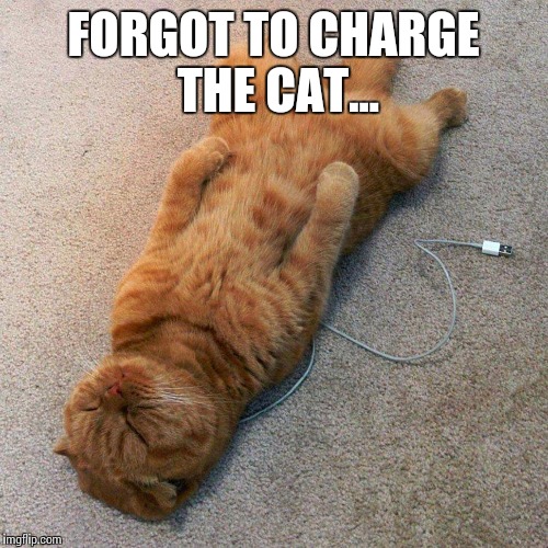 to charge the cat... Imgflip