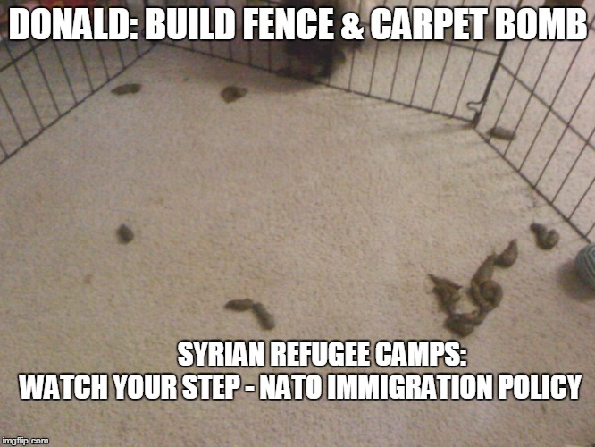 Image tagged in immigration plan build fence carpet bomb Imgflip