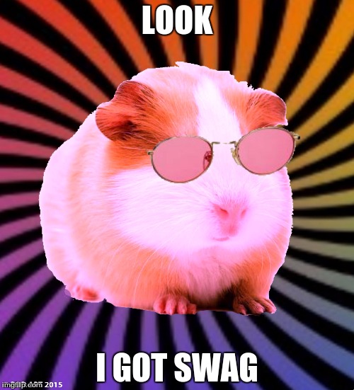 I got swag Imgflip