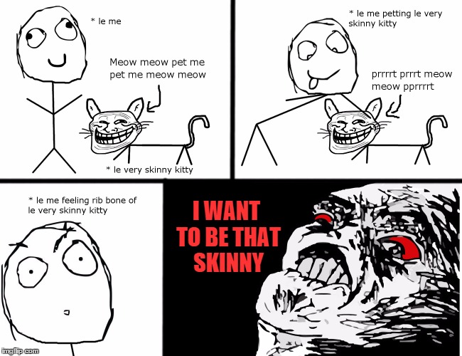 skinny kitty Imgflip