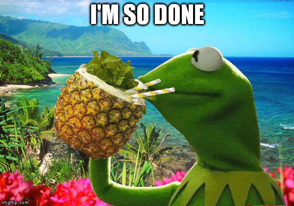 vacation kermit Imgflip