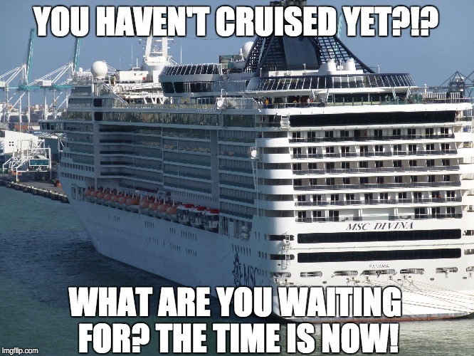 Y Not Cruise Imgflip