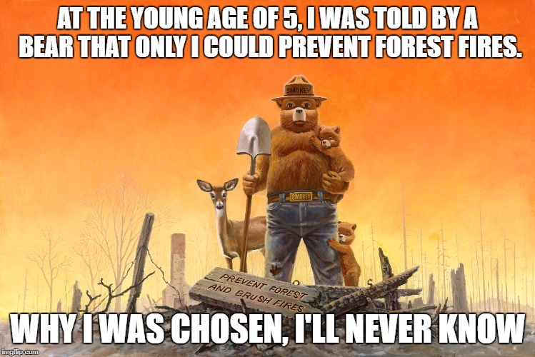 smokey the bear. Imgflip