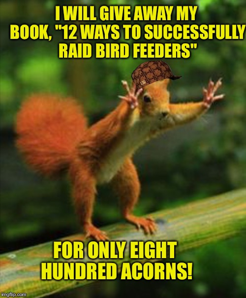 SCUMBAG SQUIRREL Imgflip