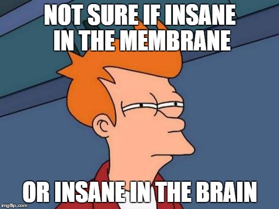 Futurama Fry Meme Imgflip