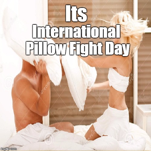 Pillow Fight Meme