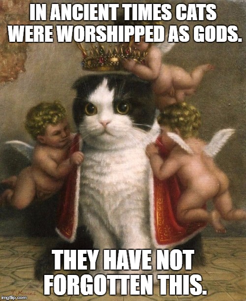 Cat God Imgflip