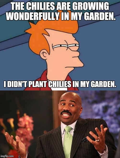 Chili Pepper Mom Meme / Google The Wierd (Help My Friend Is Red Hot