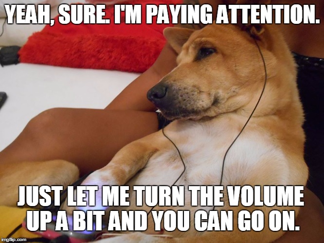 doge music Imgflip