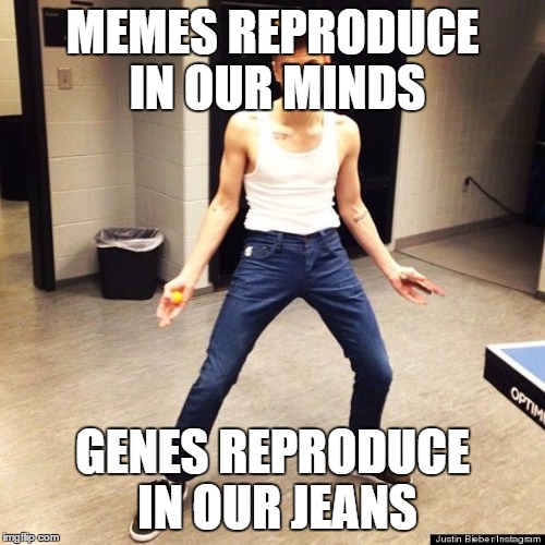 skinny jeans Imgflip