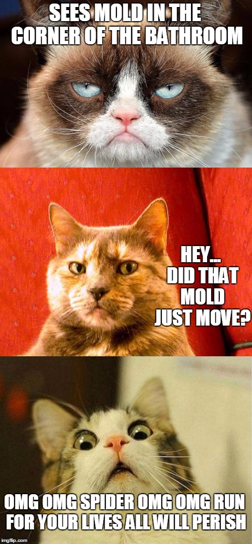 This just happened to me Imgflip