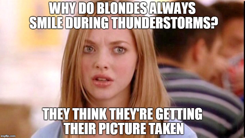 Dumb Blonde Imgflip