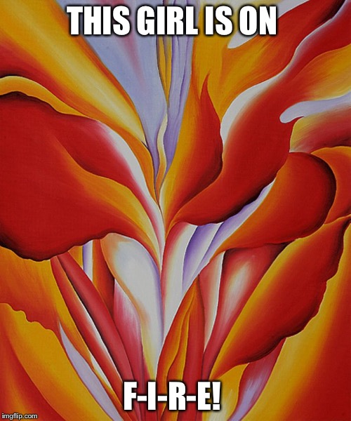 Delicate Flower Imgflip