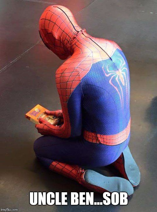 Image tagged in spidey rice Imgflip