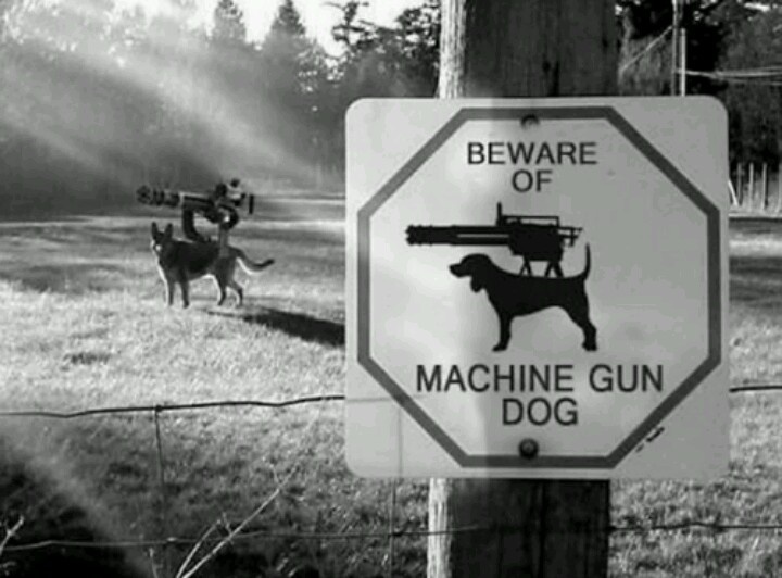 Machine Gun Dog Blank Template Imgflip