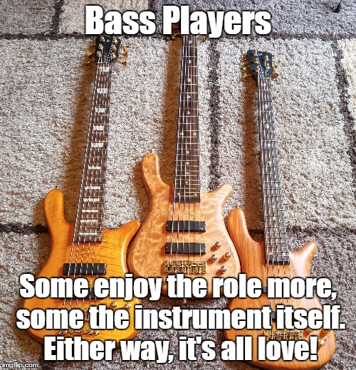 Image tagged in bass players two kinds Imgflip