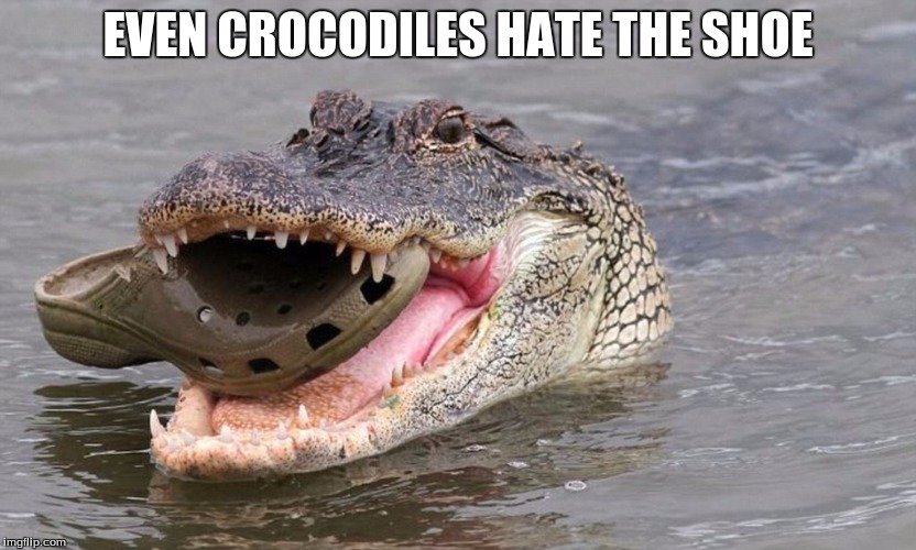 Even crocodiles hate the shoe Imgflip